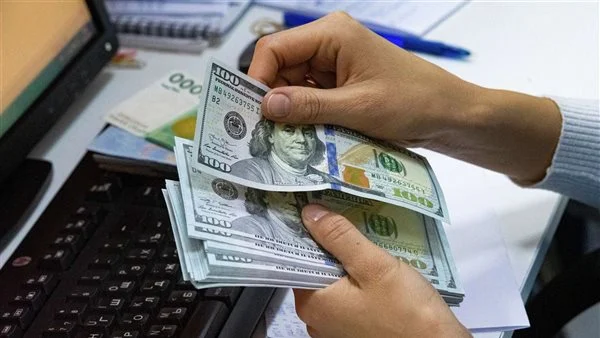 سعر الدولار اليوم في مصر 