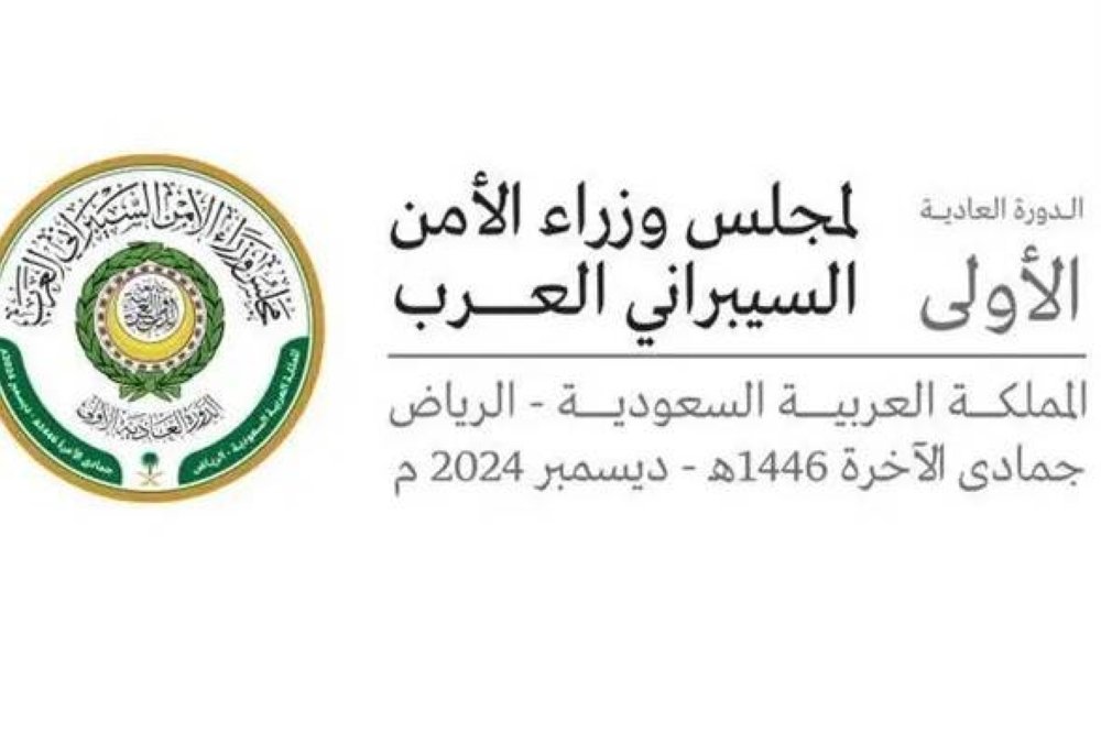 الأمن السيبراني